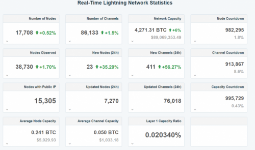 Real Time Lightning Network Statistics